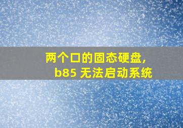 两个口的固态硬盘, b85 无法启动系统